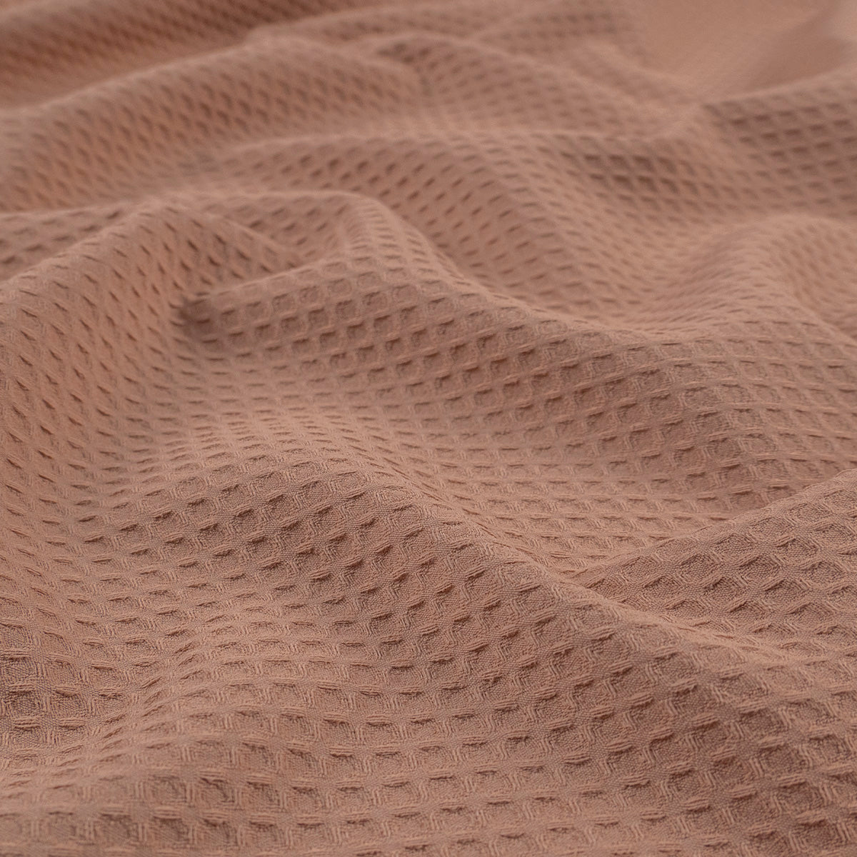 ALEMANISCO PREMIUN CAMEL PRALINE