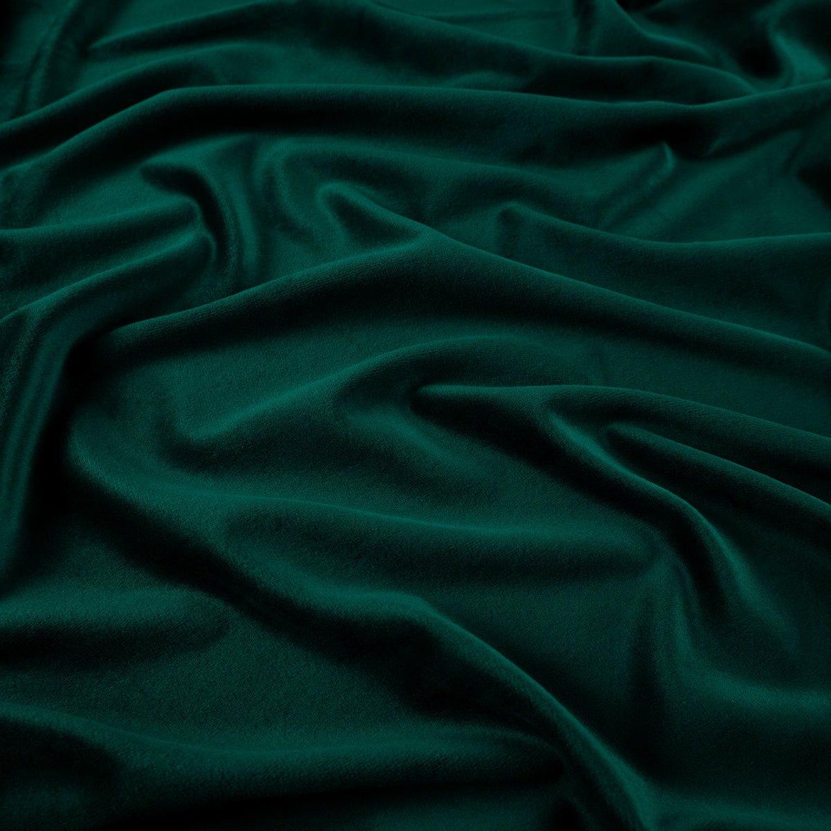 PANA ALOBA VERDE EVER