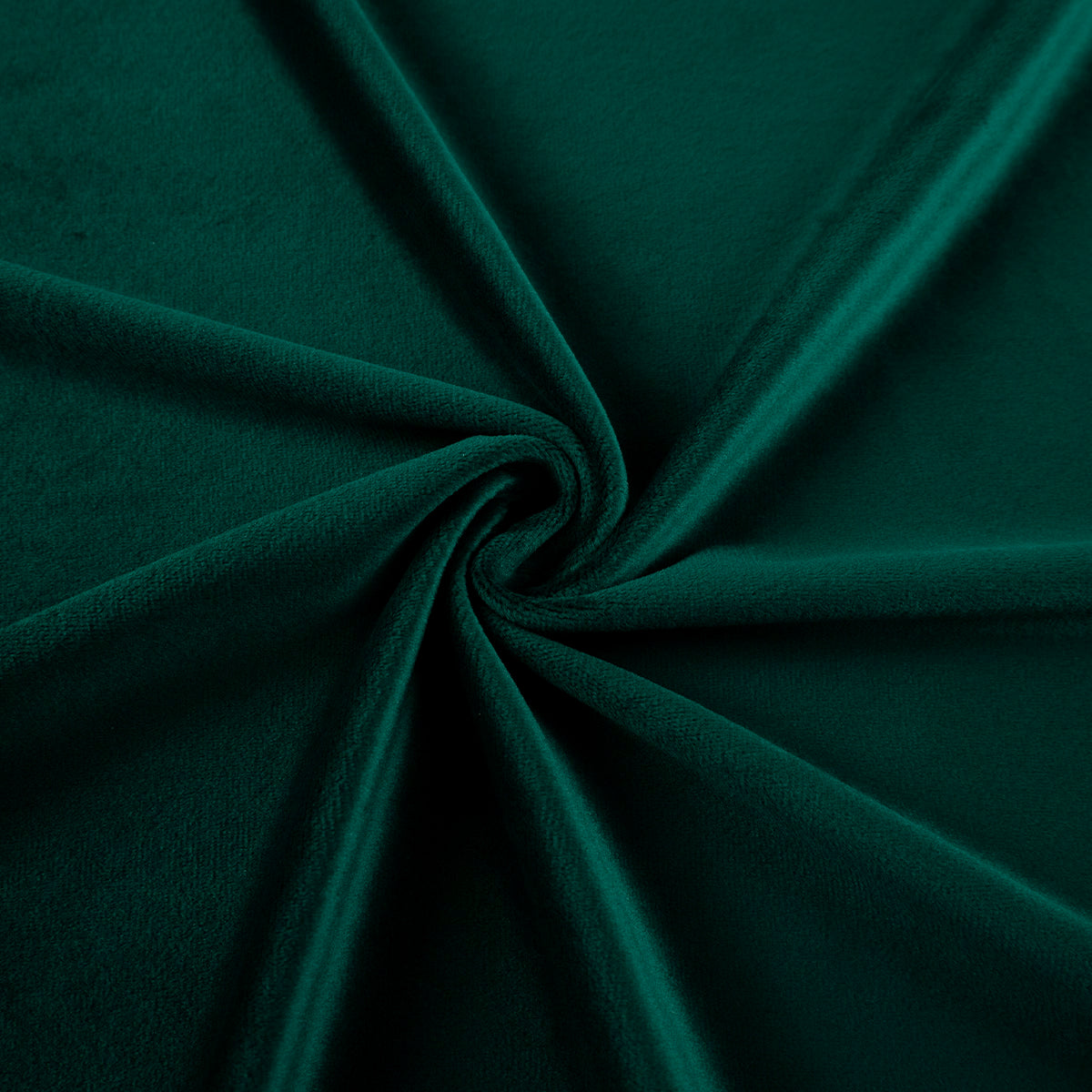 PANA ALOBA VERDE EVER