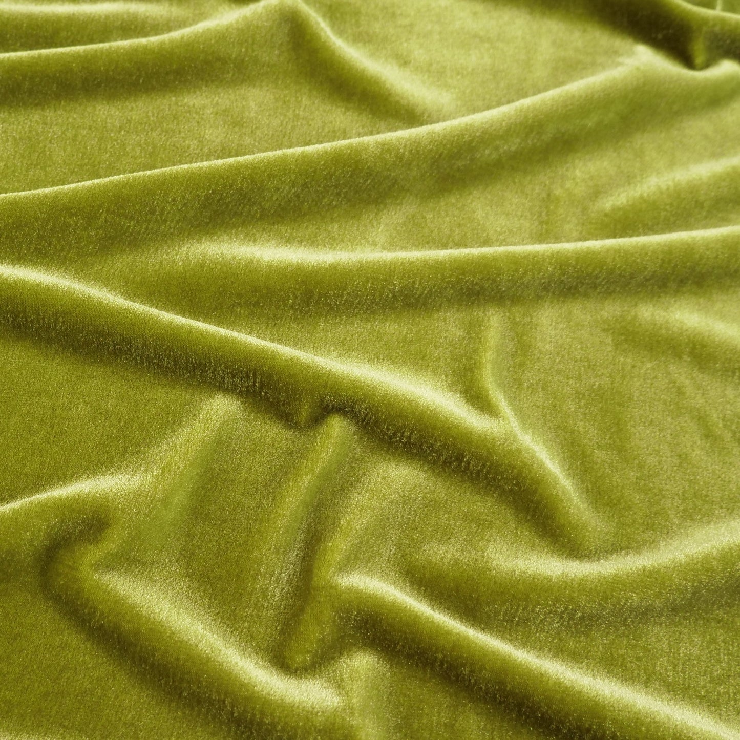 TERCIOPELO VERDE ABETO