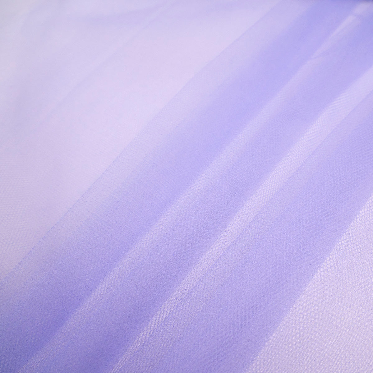 TUL ILUSION LILA TULIPA