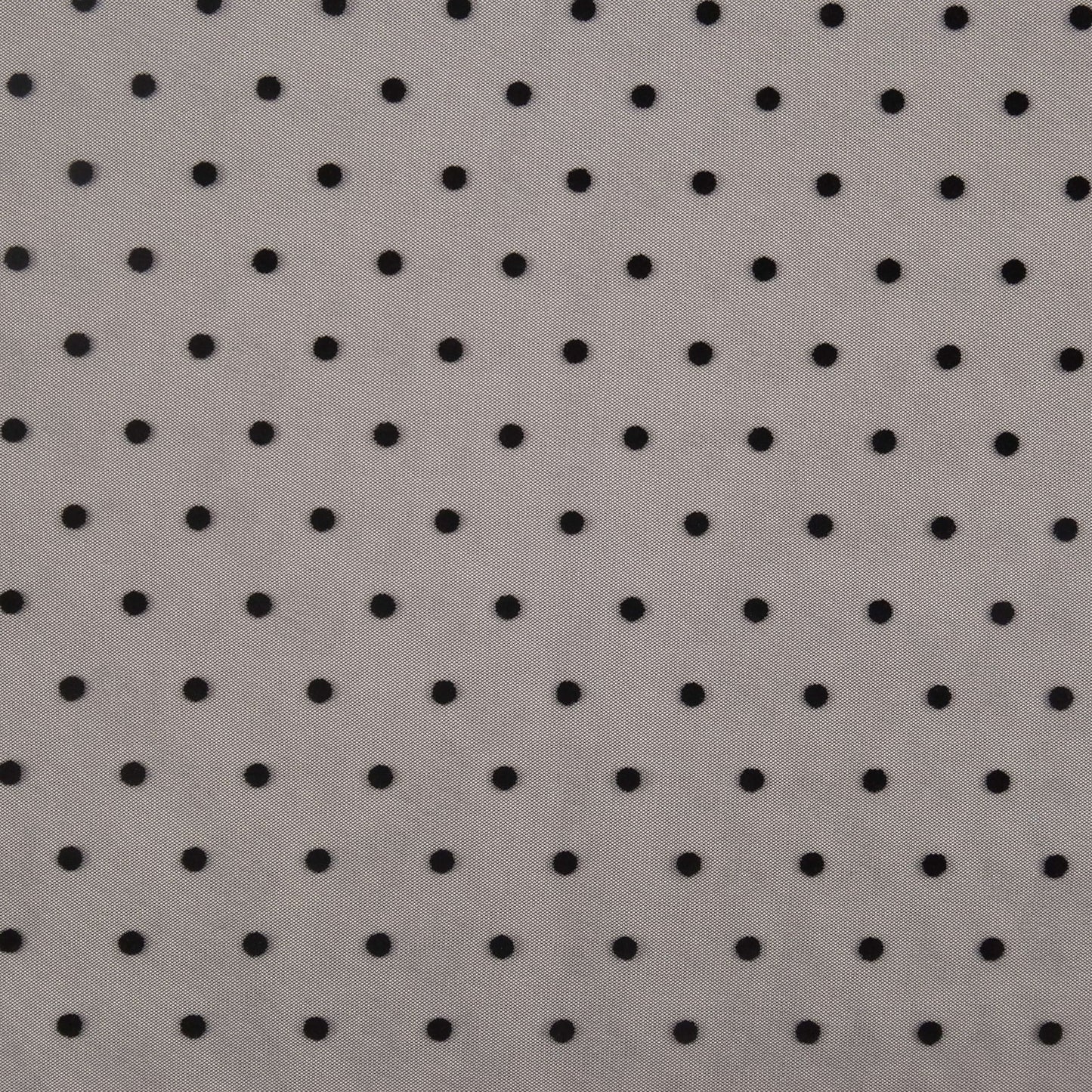 TUL FRANCES NEGRO METEORITO