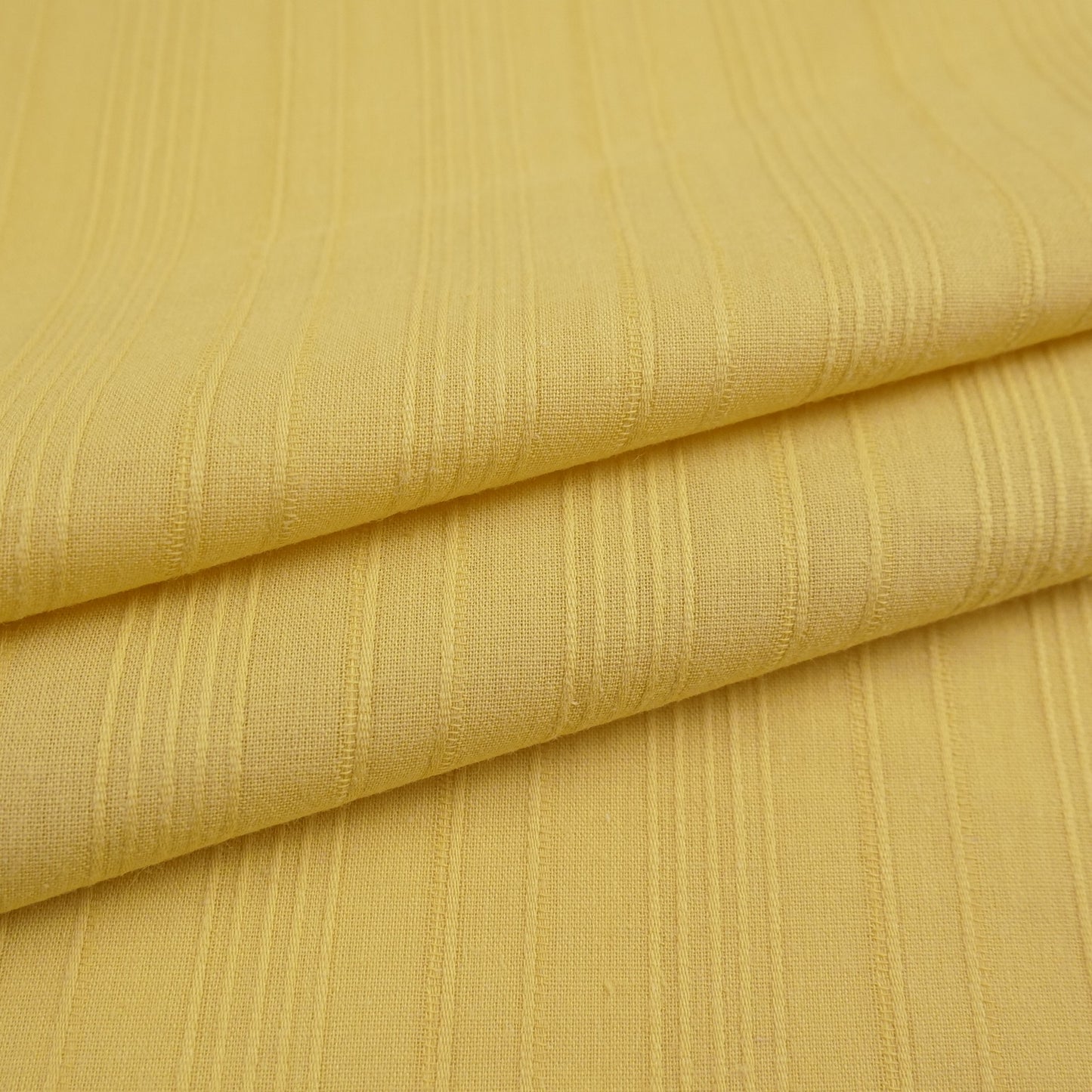 BATISTA LABRADA AMARILLO YEMA CON LINEAS