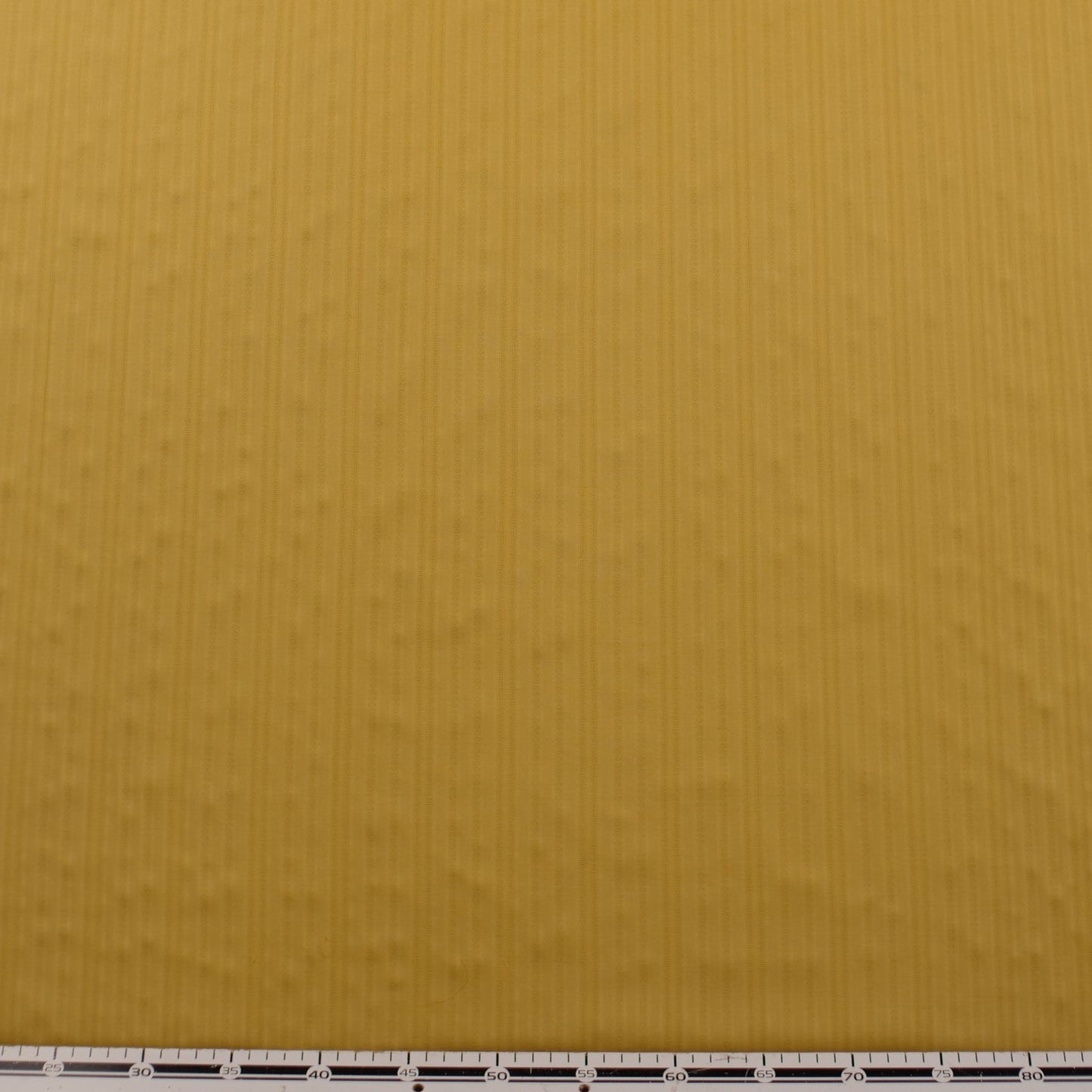 BATISTA LABRADA AMARILLO YEMA RAYAS