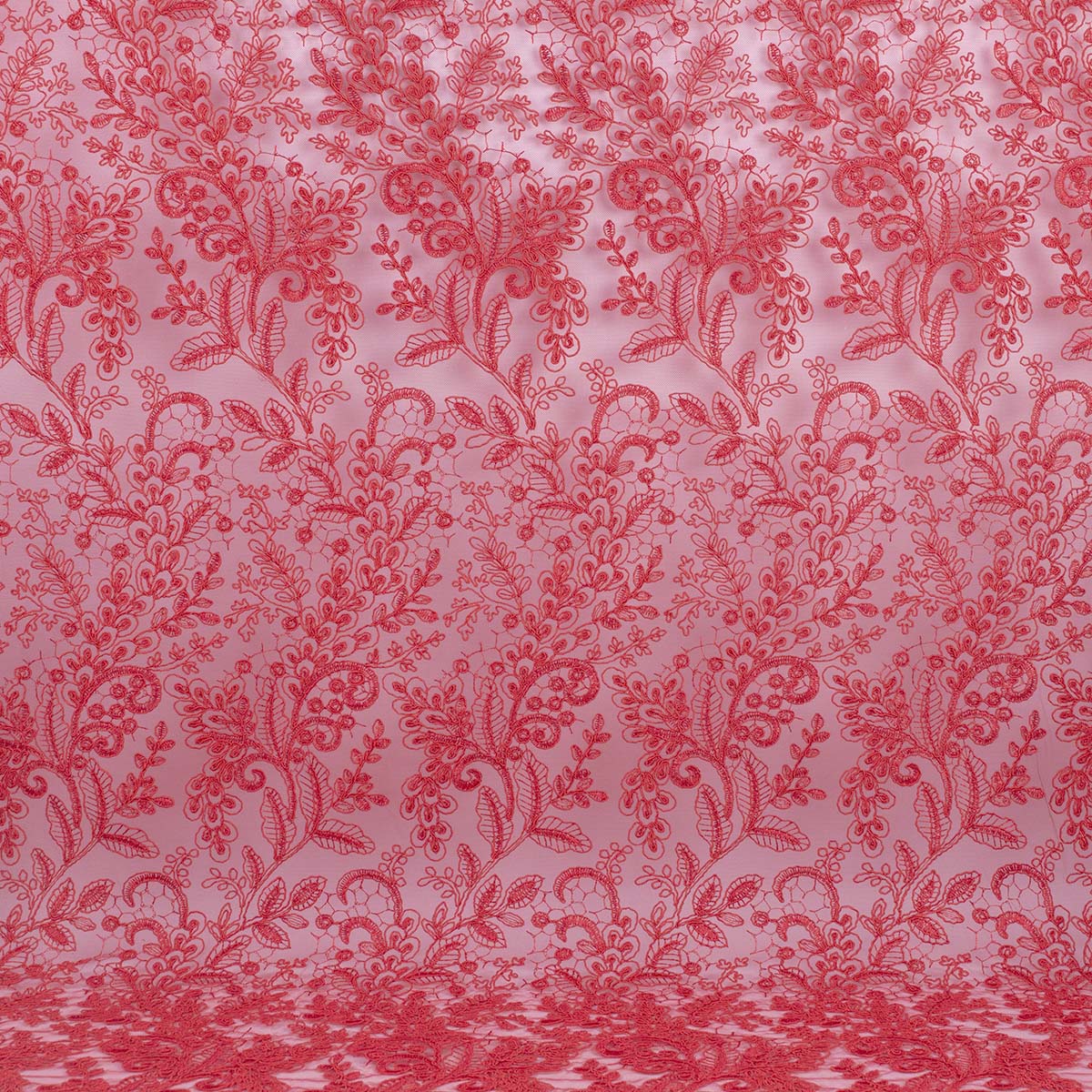 C0091-DB9E6C6E
