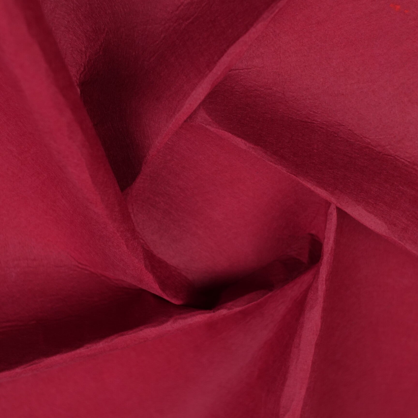 PANHOLENCI BORDO PUERTO TAWNY