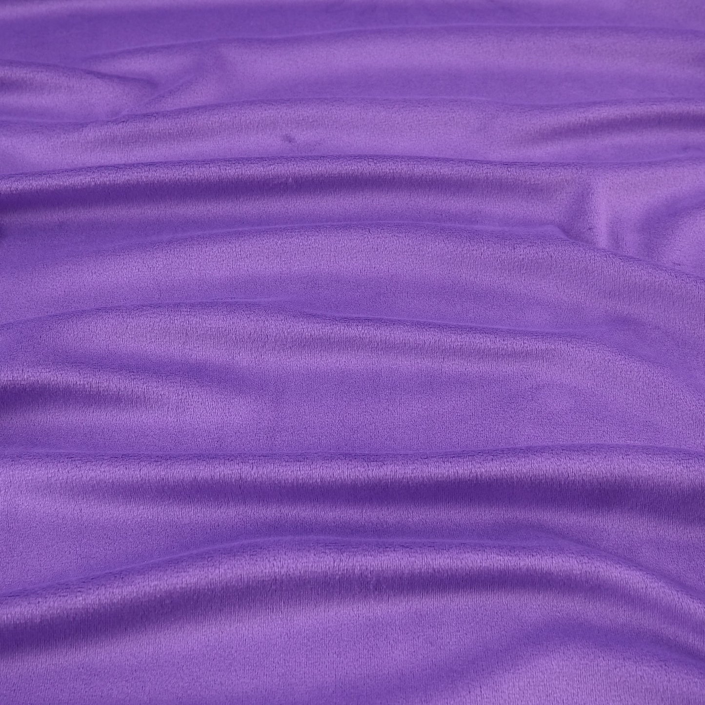 PANA ALOBA VIOLETA PETUNIA