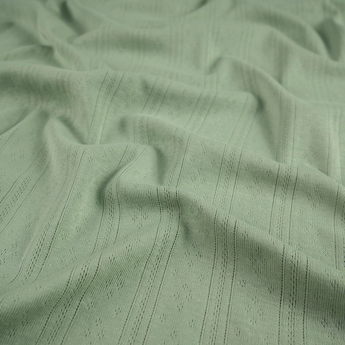 JACQUARD COTTON LISO VERDE MUERDAGO RAYAS