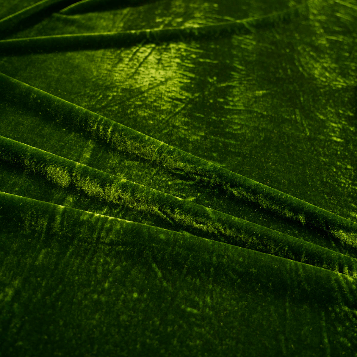 TERCIOPELO VERDE RIFLE