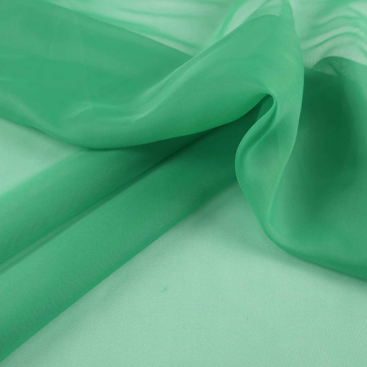 BOAL LISO VERDE FRIJOL