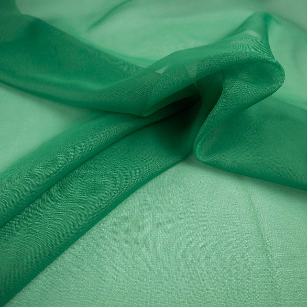 BOAL LISO VERDE FRIJOL