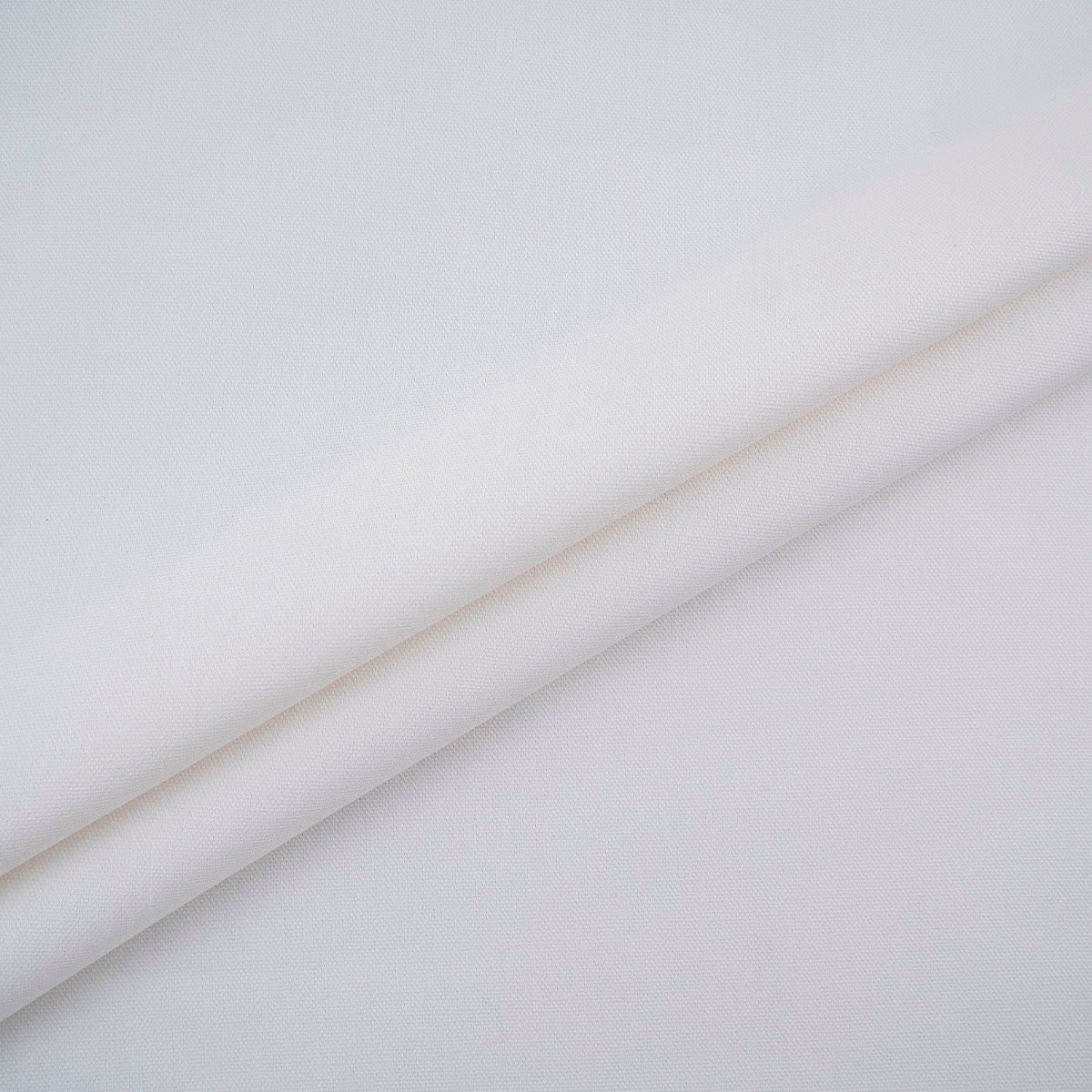 CANVAS COTTON BLANCO LILY