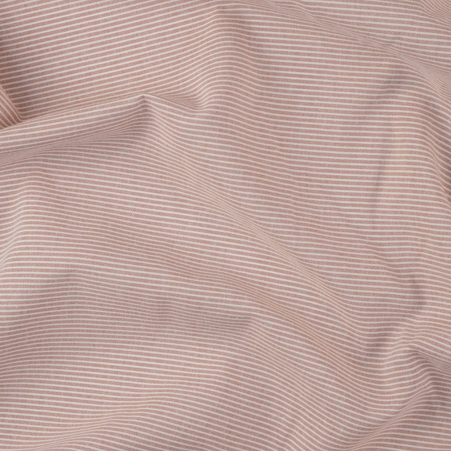 OXFORD RAYAS ROSA TAN